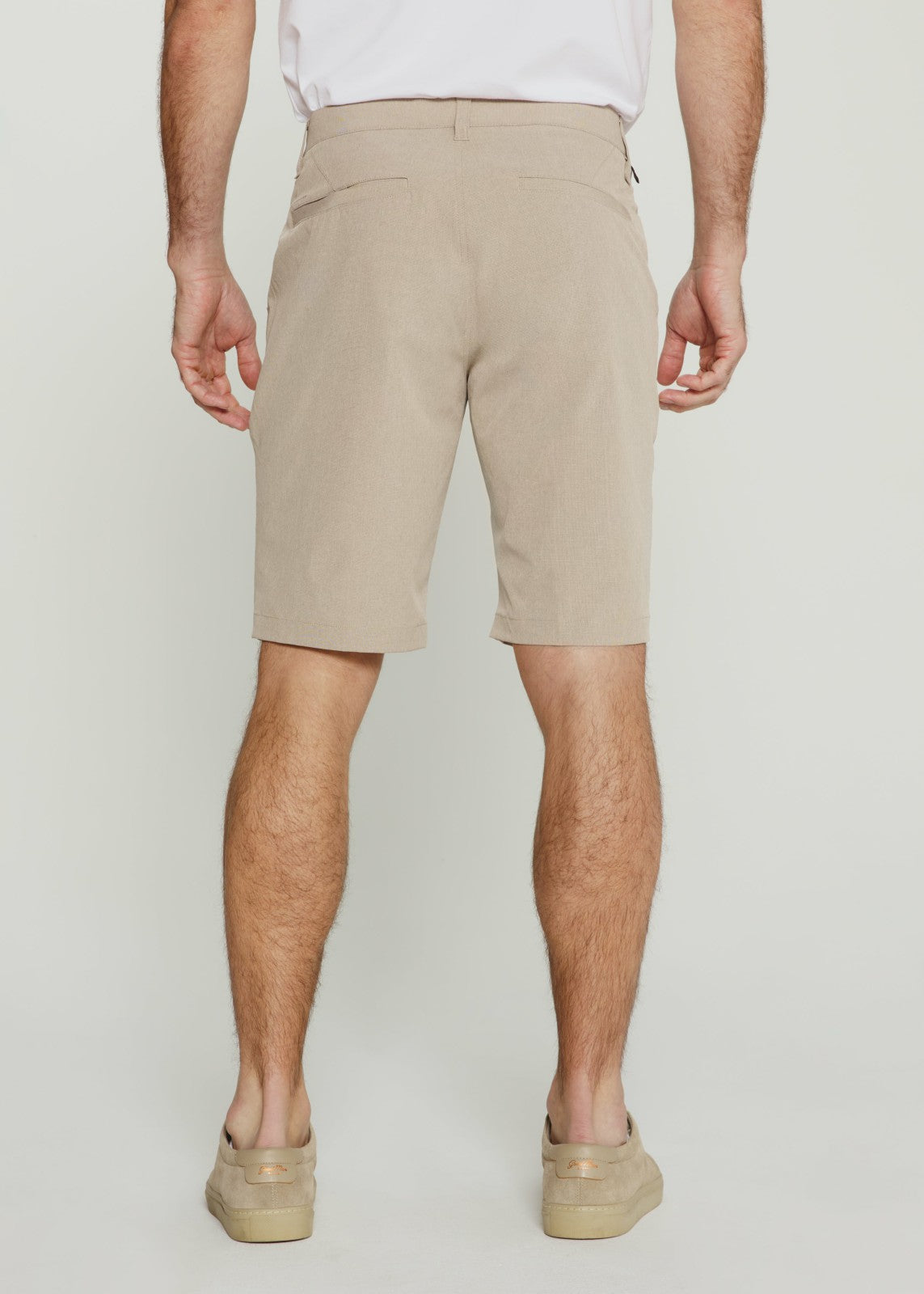 7Diamonds Momentum Hybrid Short