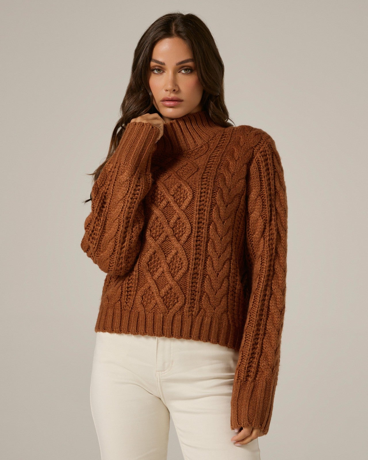 7Diamonds Tania Cable Knit Turtleneck Sweater