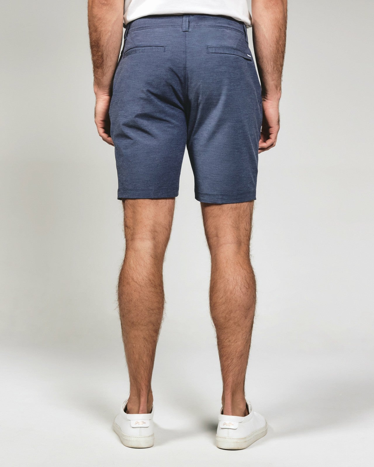 7Diamonds Catalina 8" Short